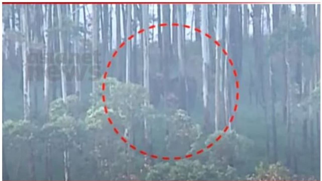 അരിക്കൊമ്പന്‍ ദൗത്യമേഖലയില്‍, ഒപ്പം വെറേയും ആനകള്‍; ഉടന്‍ മയക്കുവെടി വയ്ക്കും