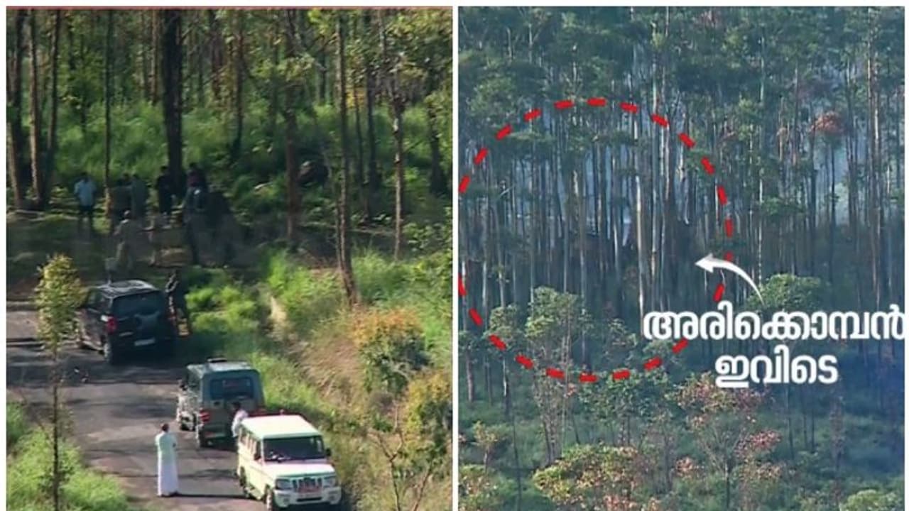 അരിക്കൊമ്പന് ആനക്കൂട്ടത്തിനൊപ്പം; കൂട്ടം തെറ്റിക്കാന് പടക്കം പൊട്ടിച്ചു, പൊസിഷന് കാത്തിരിക്കുന്നു അരിക്കൊമ്പന് ആനക്കൂട്ടത്തിനൊപ്പം; കൂട്ടം തെറ്റിക്കാന് പടക്കം പൊട്ടിച്ചു, പൊസിഷന് കാത്തിരിക്കുന്നു