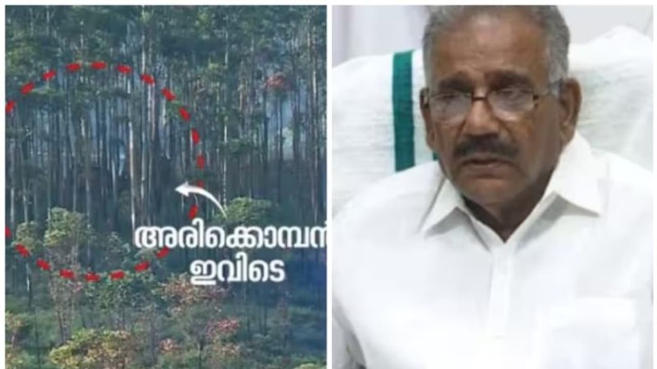 അരിക്കൊമ്പൻ ദൗത്യം ഇന്ന് തന്നെ ലക്ഷ്യത്തിലെത്തും, കാലാവസ്ഥ അനുകൂലം: എ.കെ. ശശീന്ദ്രൻ അരിക്കൊമ്പൻ ദൗത്യം ഇന്ന് തന്നെ ലക്ഷ്യത്തിലെത്തും, കാലാവസ്ഥ അനുകൂലം: എ.കെ. ശശീന്ദ്രൻ