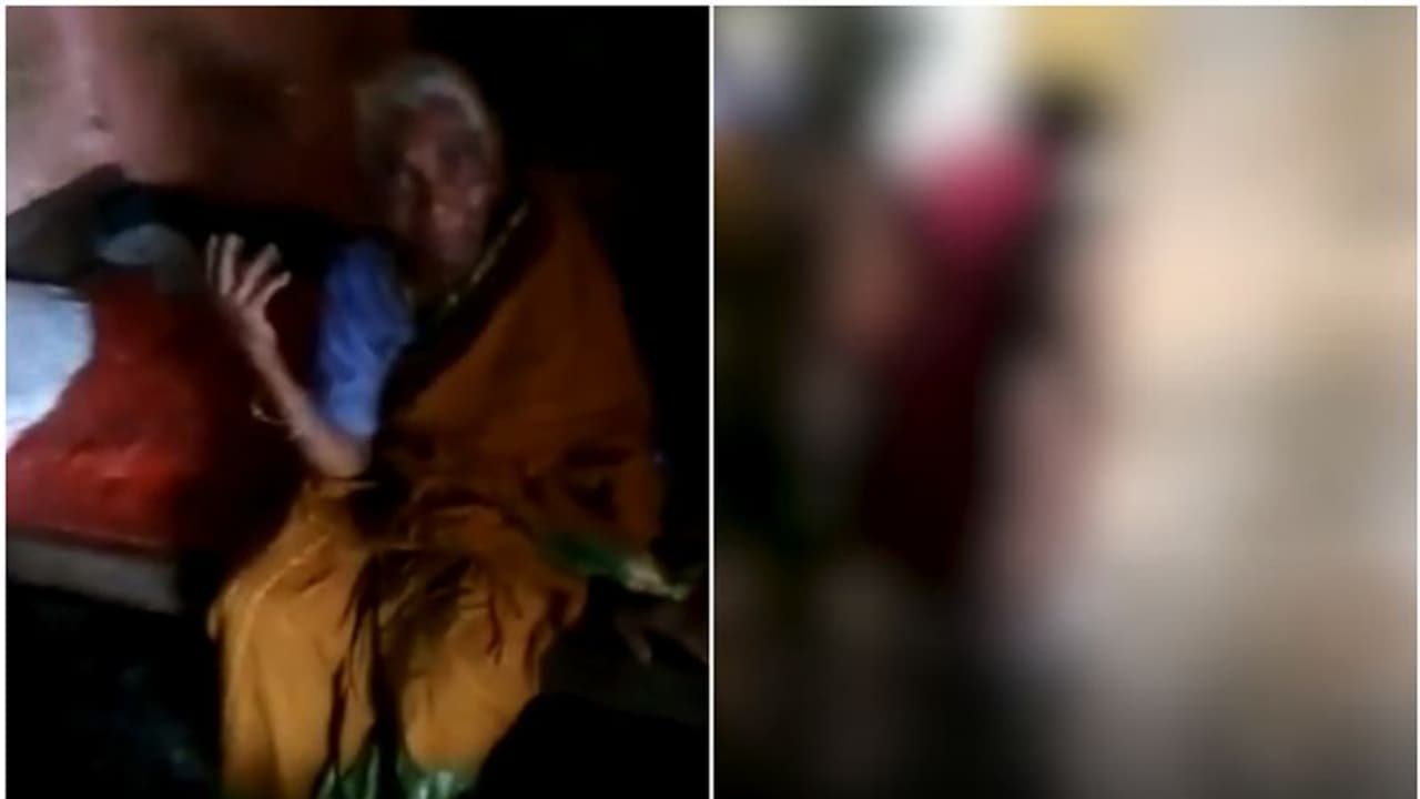 തിരുവനന്തപുരത്ത് ചെടിക്കമ്പ് മുറിച്ചതിന് 90കാരിക്ക് മരുമകളുടെ ക്രൂരമർദ്ദനം; കേസെടുത്ത് പൊലീസ് വീഡിയോ