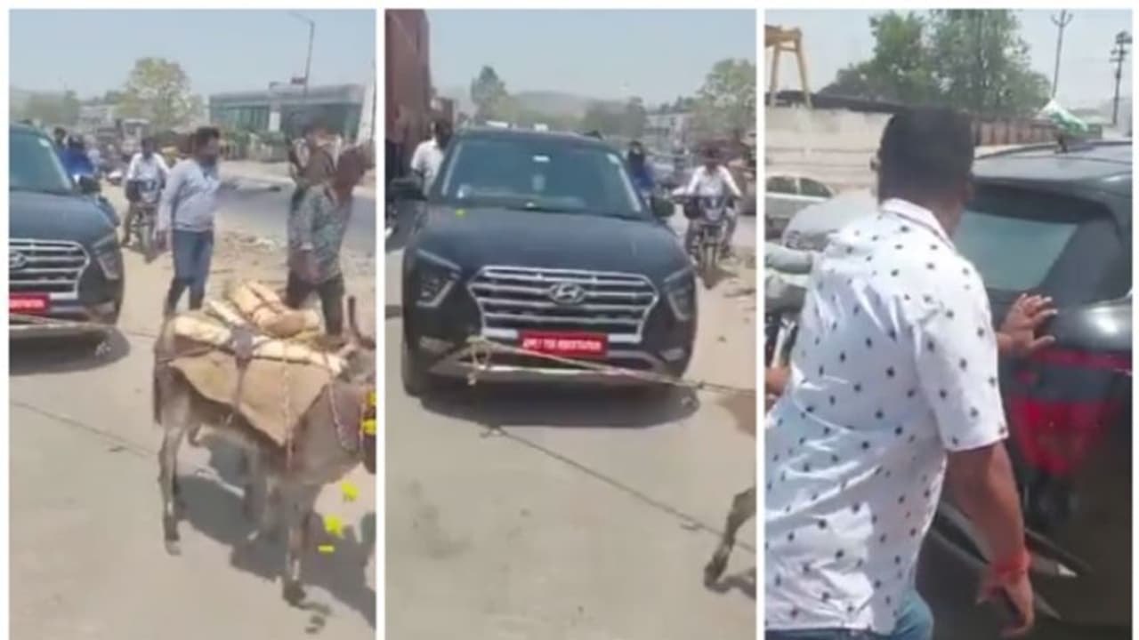 17.5 ലക്ഷം രൂപയുടെ പുതിയ കാർ കഴുതകളെ കൊണ്ട് വലിപ്പിച്ച് ഉടമ; വൈറലായി വീഡിയോ 17.5 ലക്ഷം രൂപയുടെ പുതിയ കാർ കഴുതകളെ കൊണ്ട് വലിപ്പിച്ച് ഉടമ; വൈറലായി വീഡിയോ