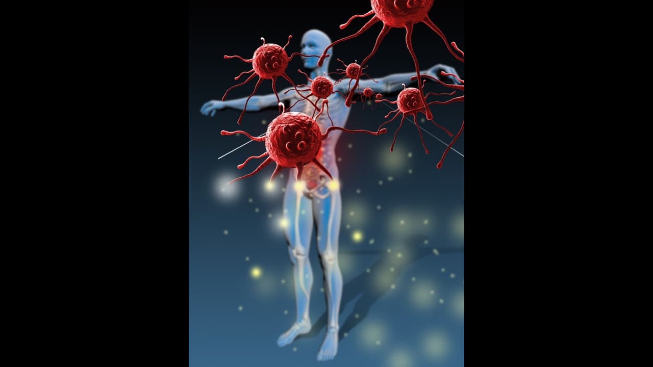 ഈ ഭക്ഷണങ്ങൾ ഒഴിവാക്കൂ, പ്രതിരോധശേഷി കുറയ്ക്കും 