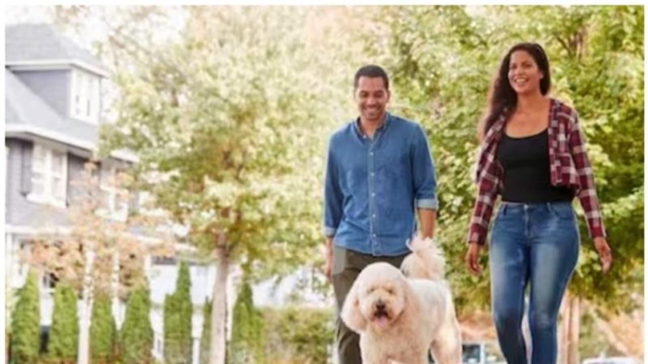 പത്തു മാസമായി അപരിചിതരുടെ വീട്ടിൽ സൗജന്യമായി താമസിച്ച് ദമ്പതികൾ; സംഗതി കൊള്ളാമെന്ന് സോഷ്യൽ മീഡിയ പത്തു മാസമായി അപരിചിതരുടെ വീട്ടിൽ സൗജന്യമായി താമസിച്ച് ദമ്പതികൾ; സംഗതി കൊള്ളാമെന്ന് സോഷ്യൽ മീഡിയ