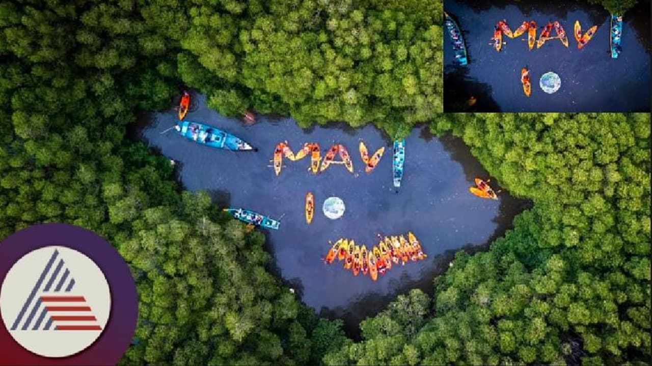 ಮಾಂಗ್ರೋವ್ ವನದ ಮಧ್ಯೆ ಕಯಾಕ್ ಮೂಲಕ ವಿನೂತನ ರೀತಿಯಲ್ಲಿ ಮತದಾನ ಜಾಗೃತಿ ಮಾಂಗ್ರೋವ್ ವನದ ಮಧ್ಯೆ ಕಯಾಕ್ ಮೂಲಕ ವಿನೂತನ ರೀತಿಯಲ್ಲಿ ಮತದಾನ ಜಾಗೃತಿ