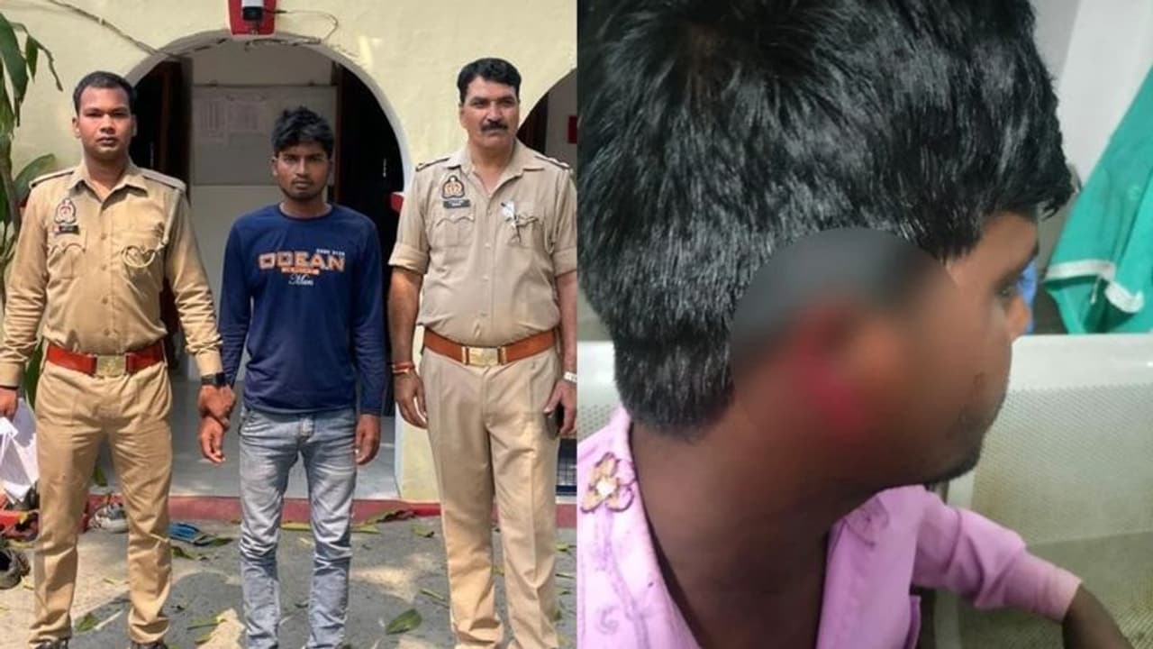 ಇದೇನ್ ಕಾಲ ಬಂತಪ್ಪಾ... ಸೌತೇಕಾಯಿ ಸಾಲದಲ್ಲಿ ಕಿವಿ ಕಳೆದುಕೊಂಡ ಗ್ರಾಹಕ! ಇದೇನ್ ಕಾಲ ಬಂತಪ್ಪಾ... ಸೌತೇಕಾಯಿ ಸಾಲದಲ್ಲಿ ಕಿವಿ ಕಳೆದುಕೊಂಡ ಗ್ರಾಹಕ!