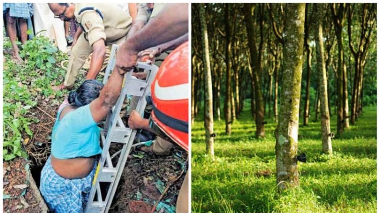 റബർ തോട്ടത്തിലെ 30 അടിയോളം താഴ്ചയുള്ള കുഴിയിൽ വീണ് വീട്ടമ്മയ്ക്ക് പരിക്ക് റബർ തോട്ടത്തിലെ 30 അടിയോളം താഴ്ചയുള്ള കുഴിയിൽ വീണ് വീട്ടമ്മയ്ക്ക് പരിക്ക്