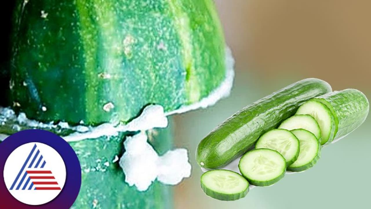 Kitchen Tips : ಸೌತೆಕಾಯಿ ಕಹಿ ಹೋಗಲಾಡಿಸಲು ಇಲ್ಲಿದೆ ಸುಲಭದ ಪರಿಹಾರ