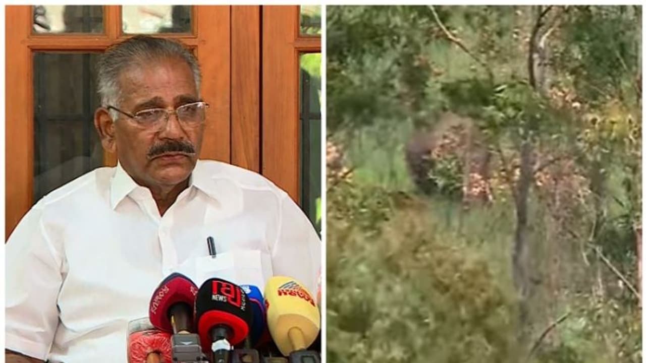 അരിക്കൊമ്പനെ മയക്കുവെടി വെച്ച ദൗത്യസംഘത്തിന് അഭിനന്ദനങ്ങള്‍: മന്ത്രി എ.കെ.ശശീന്ദ്രന്‍