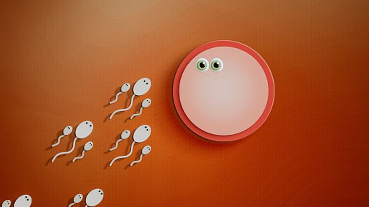 ವಿಶ್ವಾದ್ಯಂತ ಬ್ರಿಟನ್ ಪುರುಷರ ವೀರ್ಯಕ್ಕೆ ಮುಗಿಬಿದ್ದ ಜನ, ಸ್ಫೋಟಕ ವರದಿ ಬಹಿರಂಗ! ವಿಶ್ವಾದ್ಯಂತ ಬ್ರಿಟನ್ ಪುರುಷರ ವೀರ್ಯಕ್ಕೆ ಮುಗಿಬಿದ್ದ ಜನ, ಸ್ಫೋಟಕ ವರದಿ ಬಹಿರಂಗ!