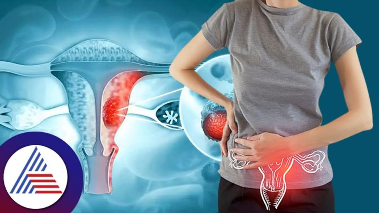 Health Problem : ಕ್ಯಾನ್ಸರ್ ನಂತಹ ಗಂಭೀರ ಸಮಸ್ಯೆಗೆ ಇಮ್ಯುನೊಥೆರಪಿ Health Problem : ಕ್ಯಾನ್ಸರ್ ನಂತಹ ಗಂಭೀರ ಸಮಸ್ಯೆಗೆ ಇಮ್ಯುನೊಥೆರಪಿ