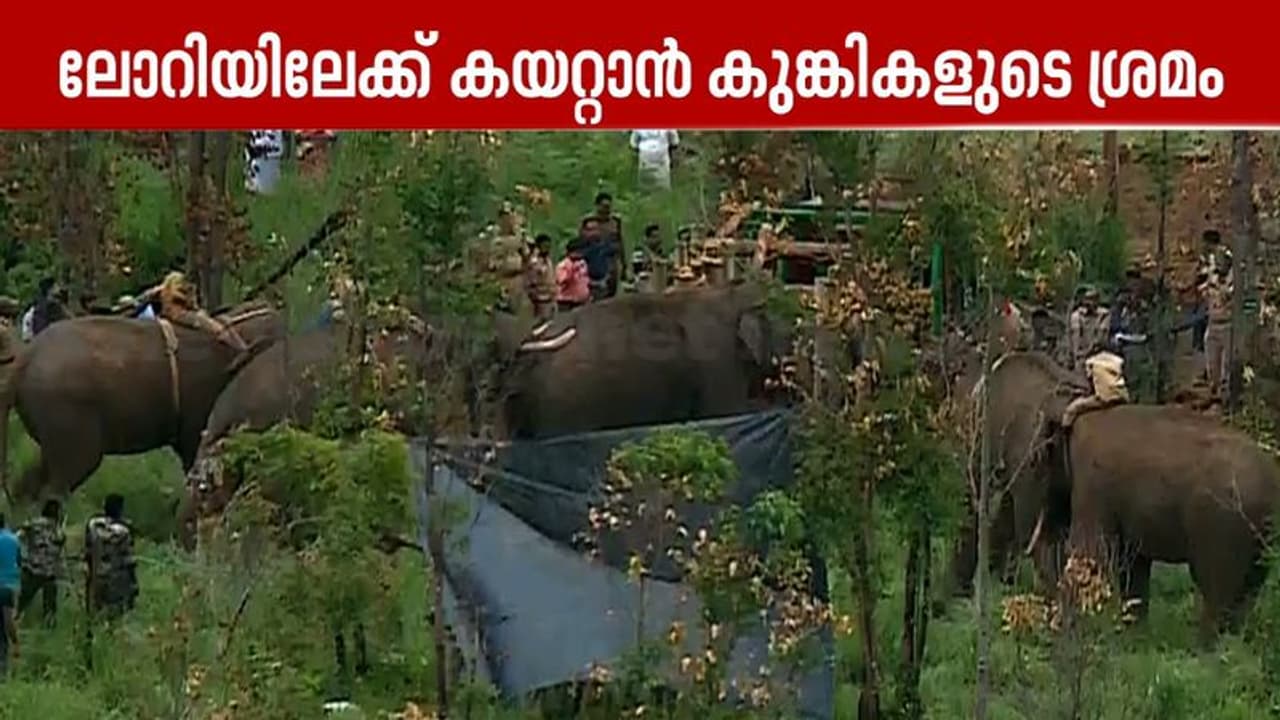 ആനിമൽ ആംബുലൻസിൽ കയറാൻ മടിച്ച് അരിക്കൊമ്പൻ ഓടി, 3 തവണ കുതറിമാറി; വെല്ലുവിളിയായി മഴയും കാറ്റും കോടമഞ്ഞും