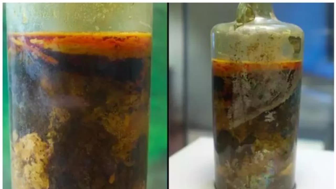 1,650 വർഷത്തെ പഴക്കം; കുപ്പിമൊത്തം വൃത്തികേടായിരിക്കാം ഏങ്കിലും വീഞ്ഞ് കുടിക്കാന് കൊള്ളാമെന്ന് വിദഗ്ദര് 1,650 വർഷത്തെ പഴക്കം; കുപ്പിമൊത്തം വൃത്തികേടായിരിക്കാം ഏങ്കിലും വീഞ്ഞ് കുടിക്കാന് കൊള്ളാമെന്ന് വിദഗ്ദര്