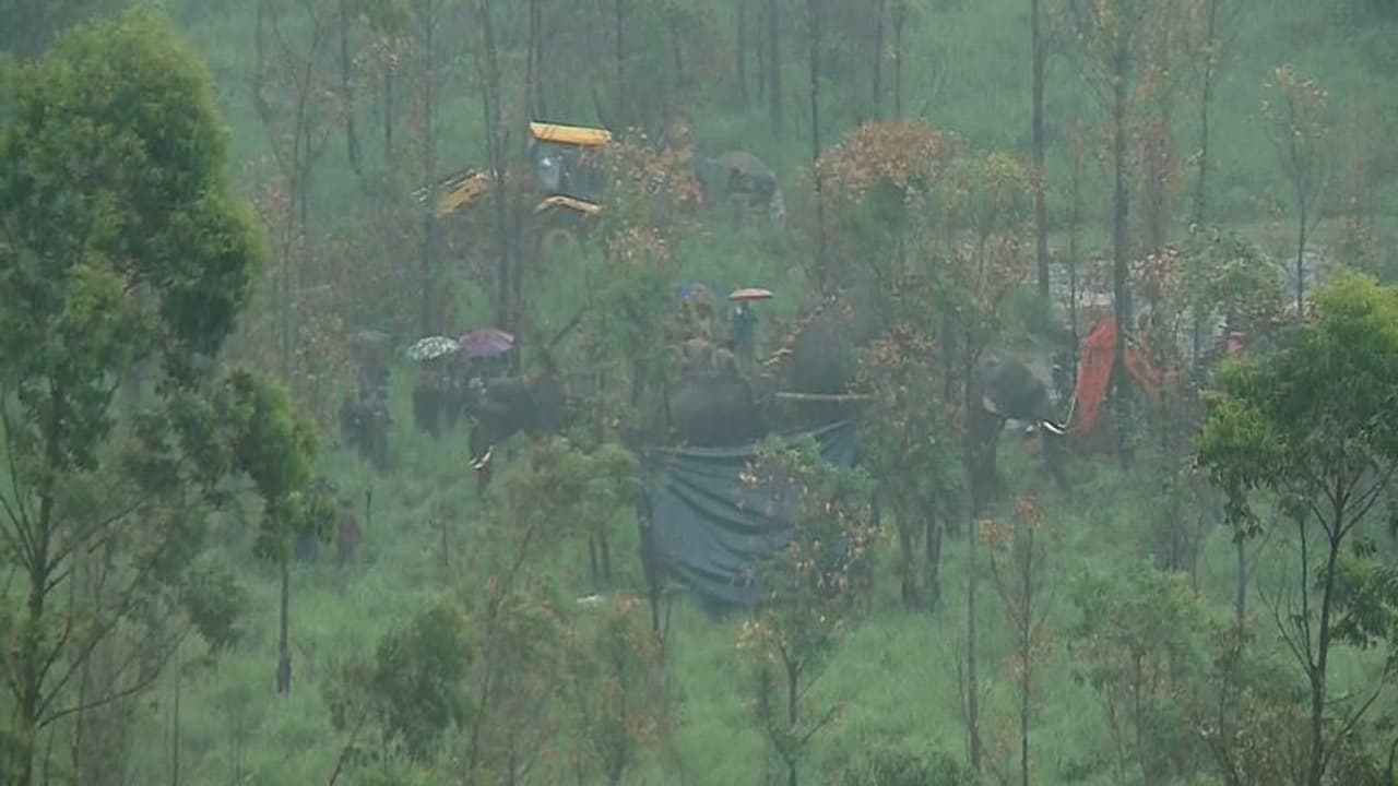 പ്രതിരോധിച്ച് അരിക്കൊമ്പൻ, വെല്ലുവിളിക്കിടയിലും ആനയെ ആനിമൽ ആംബുലൻസിൽ കയറ്റി, ദൗത്യം വിജയത്തിലേക്ക് പ്രതിരോധിച്ച് അരിക്കൊമ്പൻ, വെല്ലുവിളിക്കിടയിലും ആനയെ ആനിമൽ ആംബുലൻസിൽ കയറ്റി, ദൗത്യം വിജയത്തിലേക്ക്