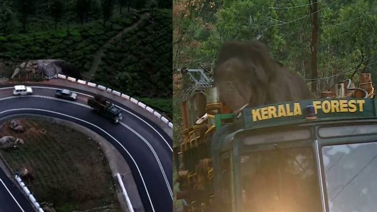 അരിക്കൊമ്പൻ യാത്ര ചെയ്ത ആ പൊളപ്പൻ റോഡിന് കയ്യടിക്കേണ്ടത് ആര്ക്ക്? ഇതാ അറിയേണ്ടതെല്ലാം! അരിക്കൊമ്പൻ യാത്ര ചെയ്ത ആ പൊളപ്പൻ റോഡിന് കയ്യടിക്കേണ്ടത് ആര്ക്ക്? ഇതാ അറിയേണ്ടതെല്ലാം!