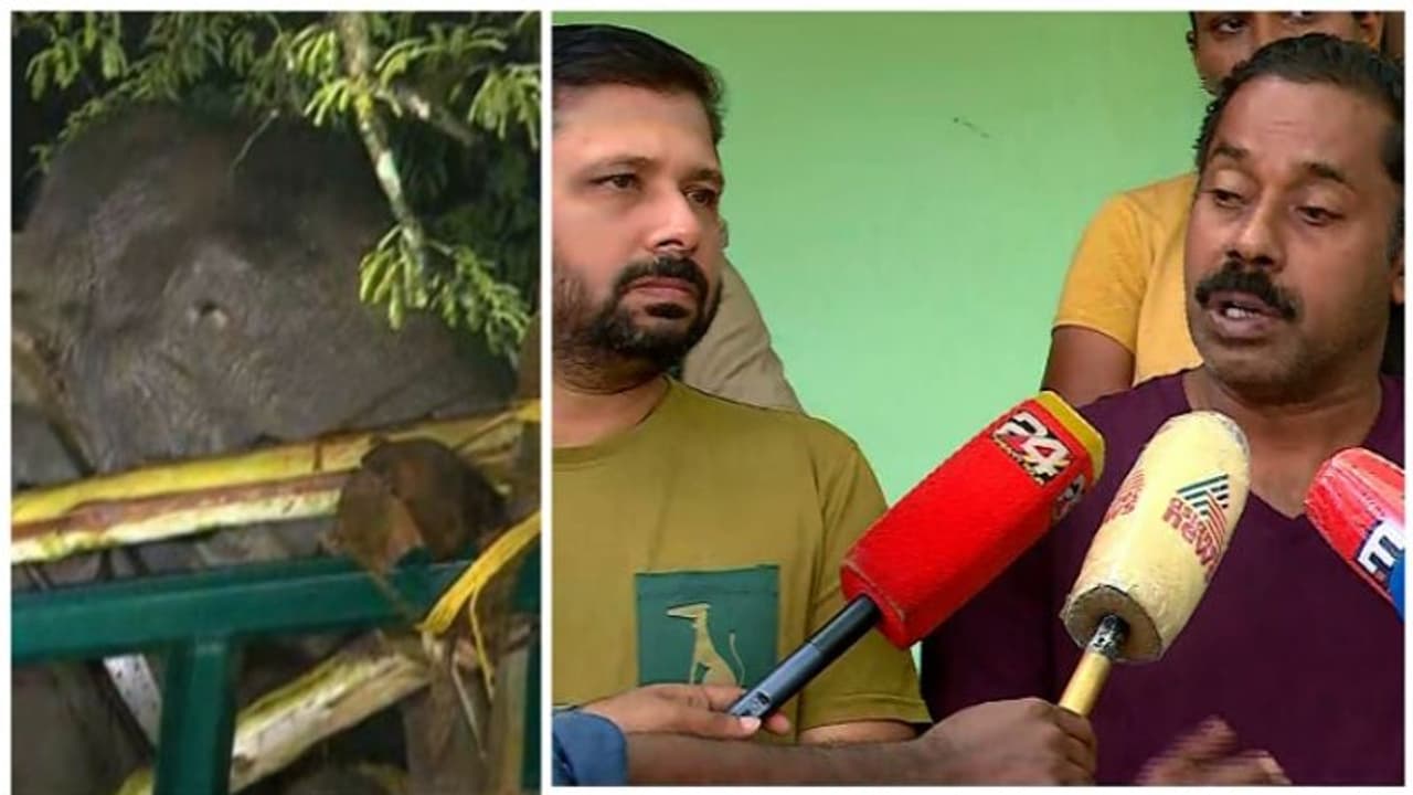 'അഞ്ച് മയക്കുവെടി വെച്ചത് അരിക്കൊമ്പന്റെ ആരോഗ്യത്തെ ബാധിക്കില്ല'; നിരീക്ഷണം തുടരുമെന്ന് ദൗത്യസംഘം 'അഞ്ച് മയക്കുവെടി വെച്ചത് അരിക്കൊമ്പന്റെ ആരോഗ്യത്തെ ബാധിക്കില്ല'; നിരീക്ഷണം തുടരുമെന്ന് ദൗത്യസംഘം