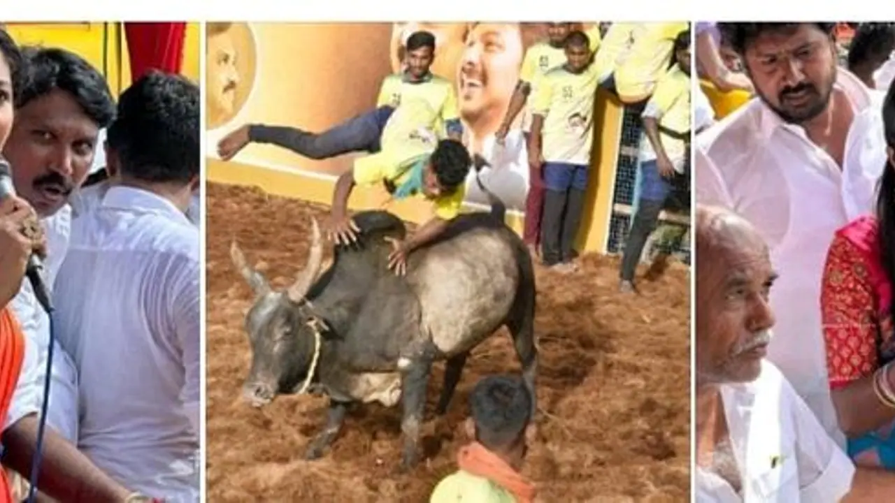 “ஜல்லிக்கட்டுக்கு தடை விதிக்க மறுத்த நீதிமன்றம்” வெடி வெடித்து, இனிப்பு வழங்கி கொண்டாடிய மக்கள்