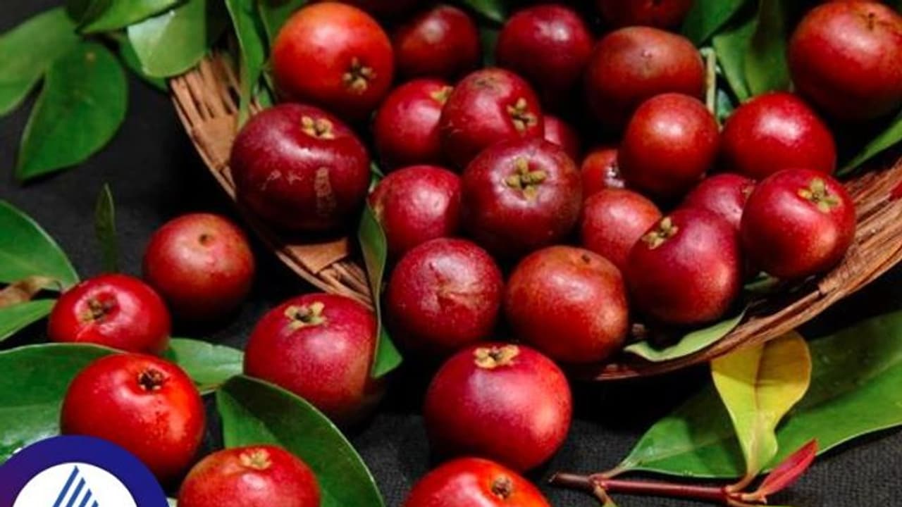 Kokum Health benefits: ಬೇಸಿಗೆಯಲ್ಲಿ ದೇಹ ತಂಪುಗೊಳಿಸುವ ಮ್ಯಾಜಿಕ್ ಫ್ರುಟ್ ಪುನರ್ಪುಳಿ Kokum Health benefits: ಬೇಸಿಗೆಯಲ್ಲಿ ದೇಹ ತಂಪುಗೊಳಿಸುವ ಮ್ಯಾಜಿಕ್ ಫ್ರುಟ್ ಪುನರ್ಪುಳಿ
