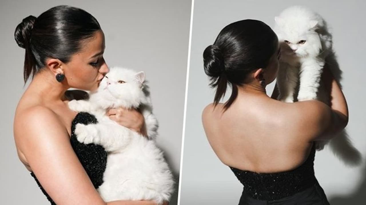 Met Gala 2023: Will Alia Bhatt's cat 'Edward' walk the red carpet? Here's what we know