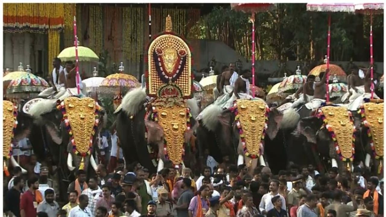 களைகட்டிய திருச்சூர் பூரம் கொண்டாட்டம்! அதிகாலை வானவேடிக்கையுடன் முடிகிறது!