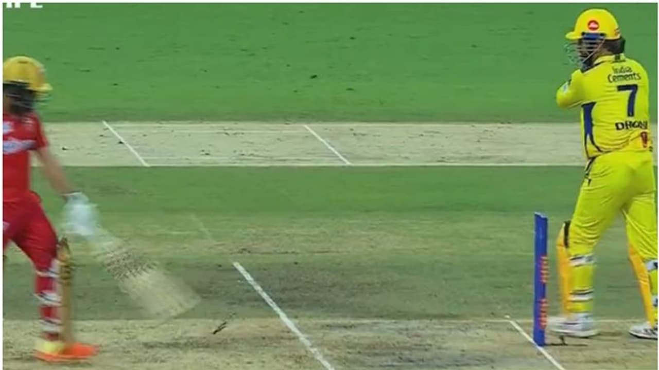 'തല' പിന്നിലുള്ളപ്പോള് ക്രീസ് വിടാന് എങ്ങനെ ധൈര്യം വന്നു? ജഡ്ഡു ധോണി പ്ലാനില് വീണ് പ്രഭ്സിമ്രാന് 'തല' പിന്നിലുള്ളപ്പോള് ക്രീസ് വിടാന് എങ്ങനെ ധൈര്യം വന്നു? ജഡ്ഡു ധോണി പ്ലാനില് വീണ് പ്രഭ്സിമ്രാന്