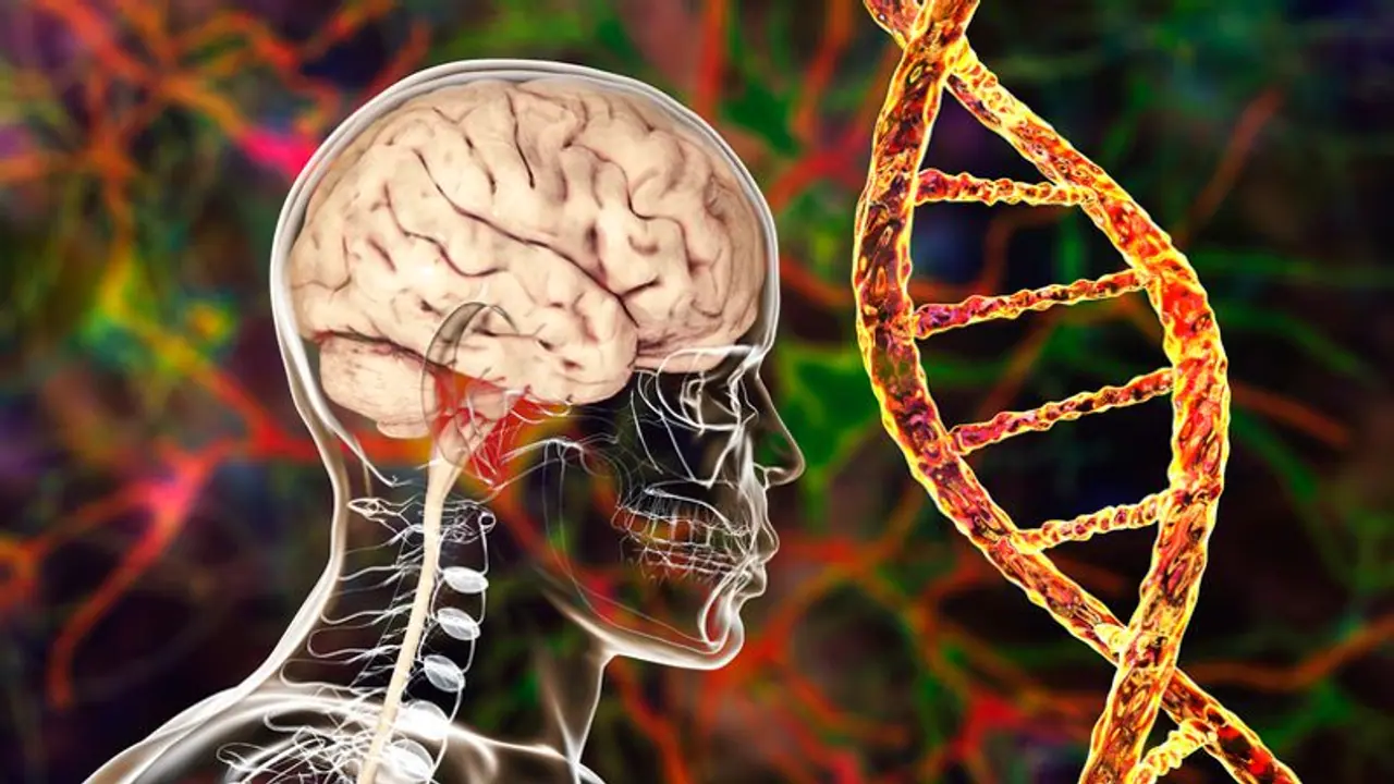 Here are 10 lifestyle changes to manage mania and depression symptoms