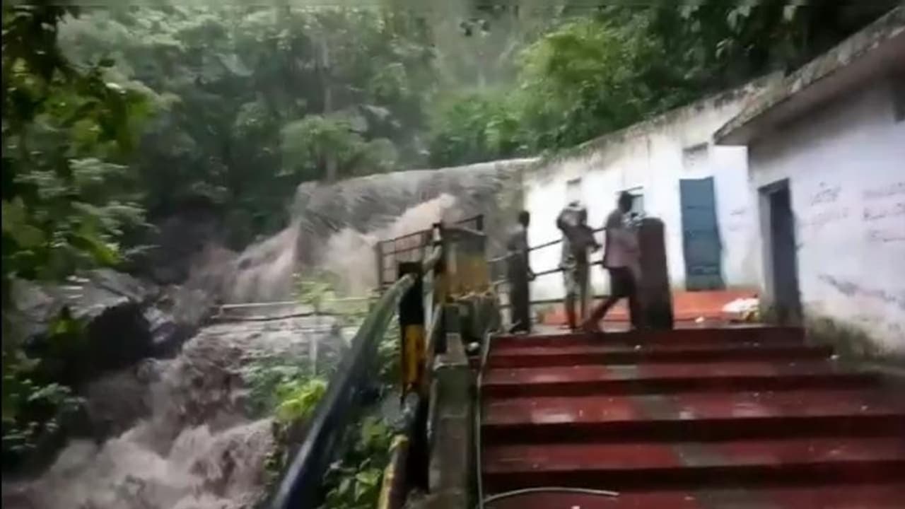 யானைகள் முகாம்: இன்றும் சுருளி அருவியில் குளிக்க தடை; சுற்றுலா பயணிகள் ஏமாற்றம் யானைகள் முகாம்: இன்றும் சுருளி அருவியில் குளிக்க தடை; சுற்றுலா பயணிகள் ஏமாற்றம்