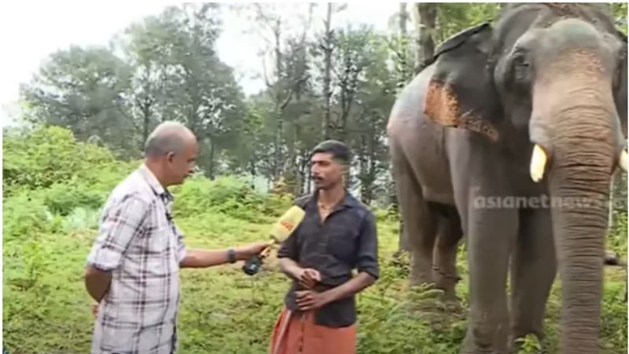 'ഏറ്റവും ബുദ്ധിമുട്ടേറിയതായിരുന്നു അരിക്കൊമ്പൻ ദൗത്യം'; അനുഭവം പറഞ്ഞ് കോന്നി സുരേന്ദ്രന്റെ പാപ്പാൻ