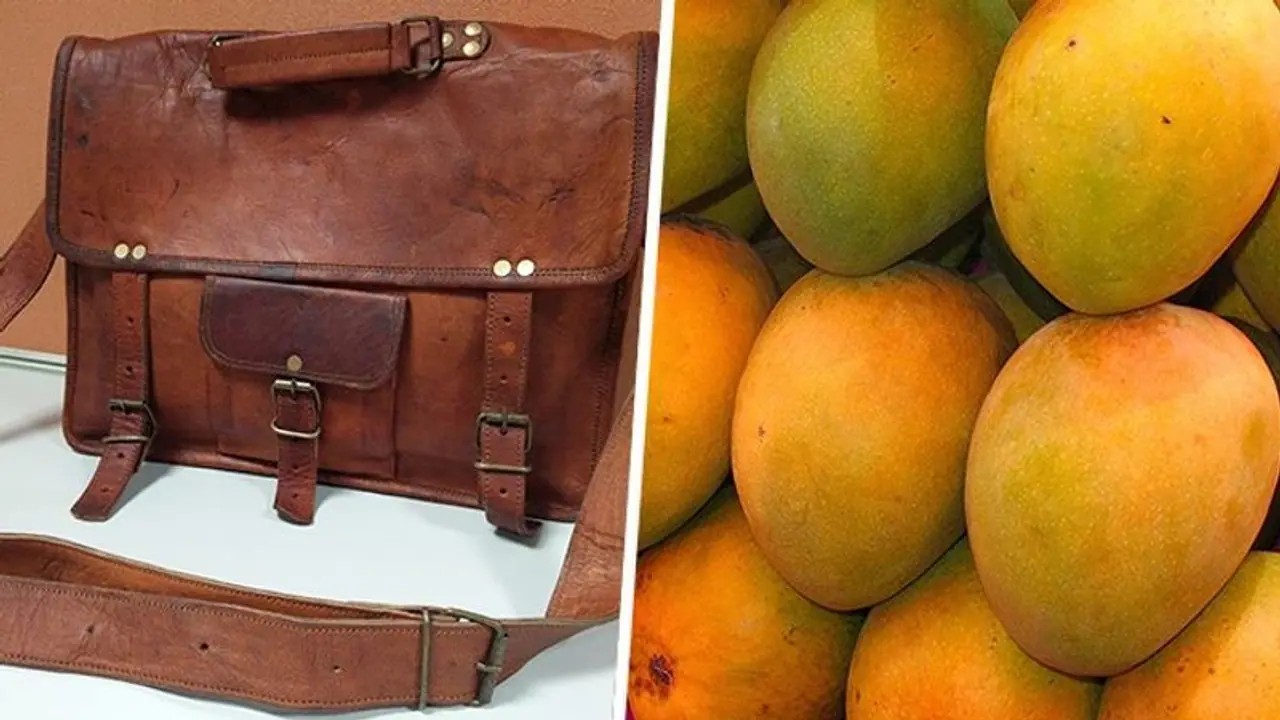 Leather from mangoes! How Chennai based scientists developed an eco friendly alternative Leather from mangoes! How Chennai based scientists developed an eco friendly alternative