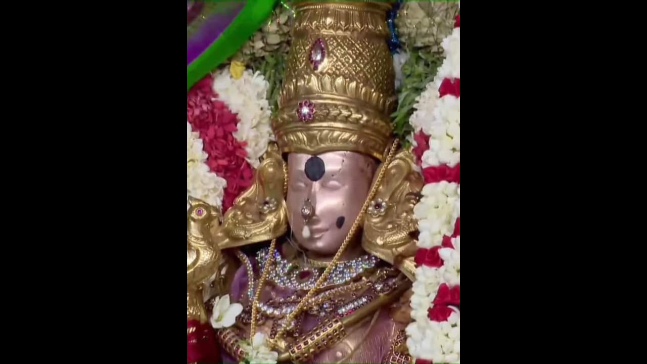 நவராத்திரி முதல் நாள்.. ராஜராஜேஸ்வரி அலங்காரத்தில் மீனாட்சி அம்மன்.. திரளானோர் தரிசனம்