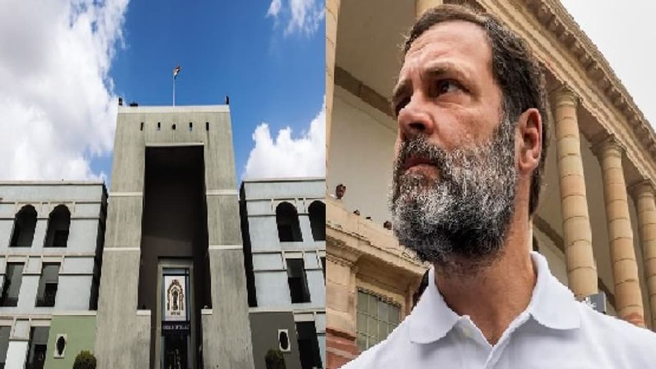 2 ஆண்டு சிறைக்கு எதிரான ராகுலின் மேல்முறையீட்டு வழக்கின் தீர்ப்பு எப்போது? தேதியை சொன்ன குஜராத் உயர்நீதிமன்றம் 2 ஆண்டு சிறைக்கு எதிரான ராகுலின் மேல்முறையீட்டு வழக்கின் தீர்ப்பு எப்போது? தேதியை சொன்ன குஜராத் உயர்நீதிமன்றம்