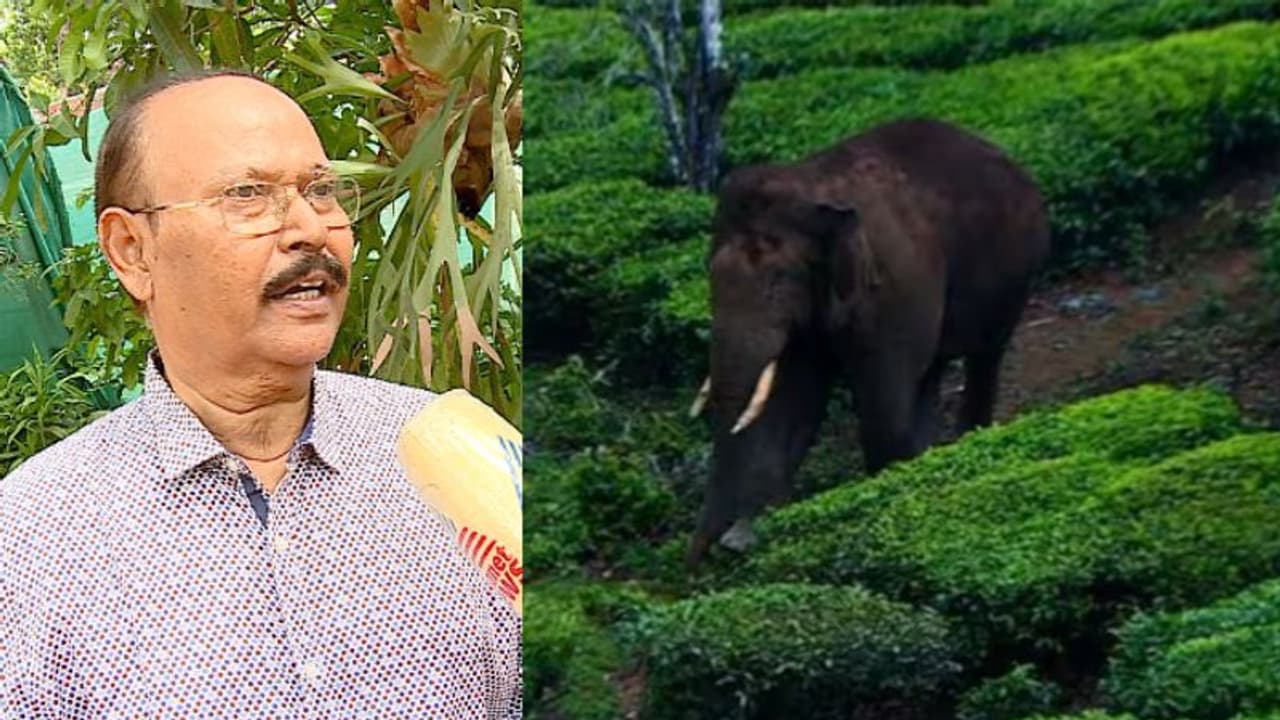 അരിക്കൊമ്പൻ ചിന്നക്കനാലിൽ തിരികെ എത്താൻ സാധ്യതയുണ്ട്, മിഷനിൽ പബ്ലിസിറ്റി കൂടിപ്പോയി: ഡോ. പിഎസ് ഈസ അരിക്കൊമ്പൻ ചിന്നക്കനാലിൽ തിരികെ എത്താൻ സാധ്യതയുണ്ട്, മിഷനിൽ പബ്ലിസിറ്റി കൂടിപ്പോയി: ഡോ. പിഎസ് ഈസ