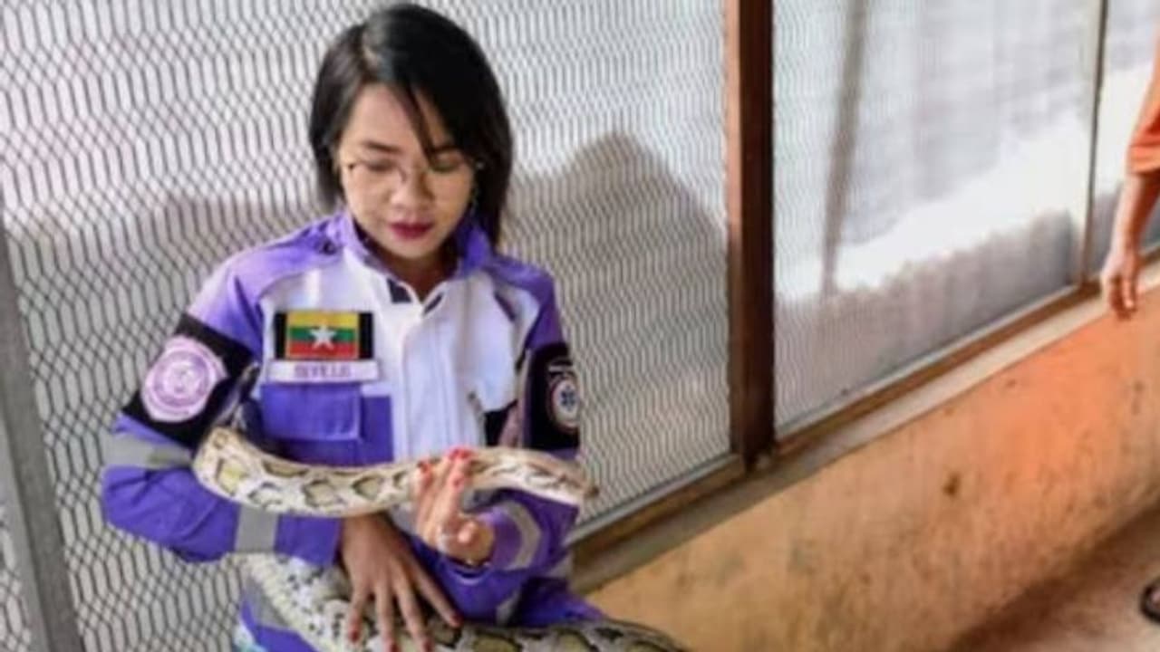 മ്യാൻമറിലെ പാമ്പുകളുടെ രാജകുമാരിയും രാജകുമാരനും, അങ്ങനെ അറിയപ്പെടാൻ കാരണം ഇത്... മ്യാൻമറിലെ പാമ്പുകളുടെ രാജകുമാരിയും രാജകുമാരനും, അങ്ങനെ അറിയപ്പെടാൻ കാരണം ഇത്...