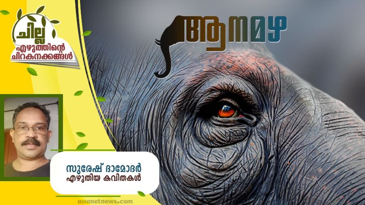 ആനമഴ, സുരേഷ് ദാമോദര്‍ എഴുതിയ കവിതകള്‍
