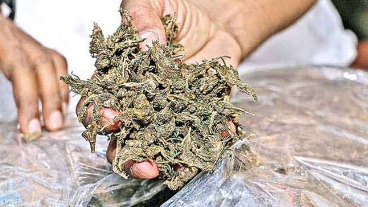 വാഹന പരിശോധനയ്ക്കിടെ എക്സൈസിനെ കണ്ട് പരുങ്ങി; കഞ്ചാവുമായി മധ്യവയസ്ക്കൻ പിടിയിൽ