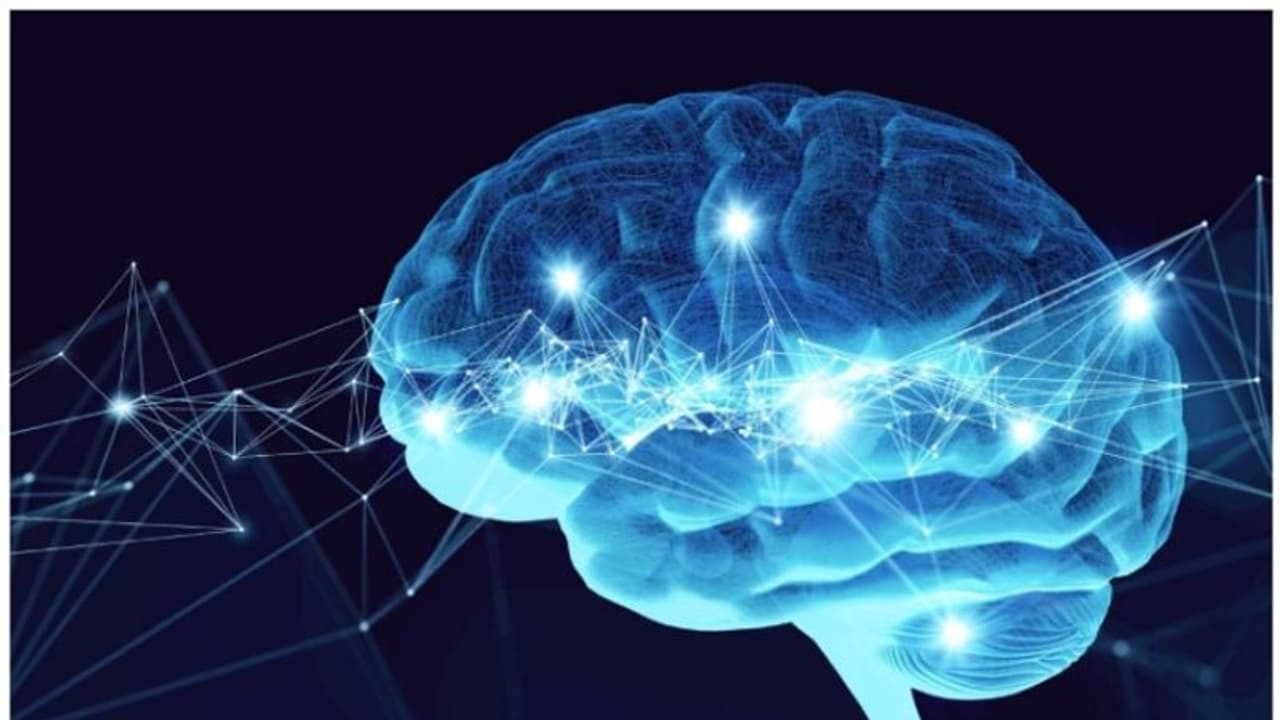 മരണശേഷവും തലച്ചോര് ജീവിക്കുമോ ? പുതിയ പഠനവുമായി ഗവേഷകർ മരണശേഷവും തലച്ചോര് ജീവിക്കുമോ ? പുതിയ പഠനവുമായി ഗവേഷകർ