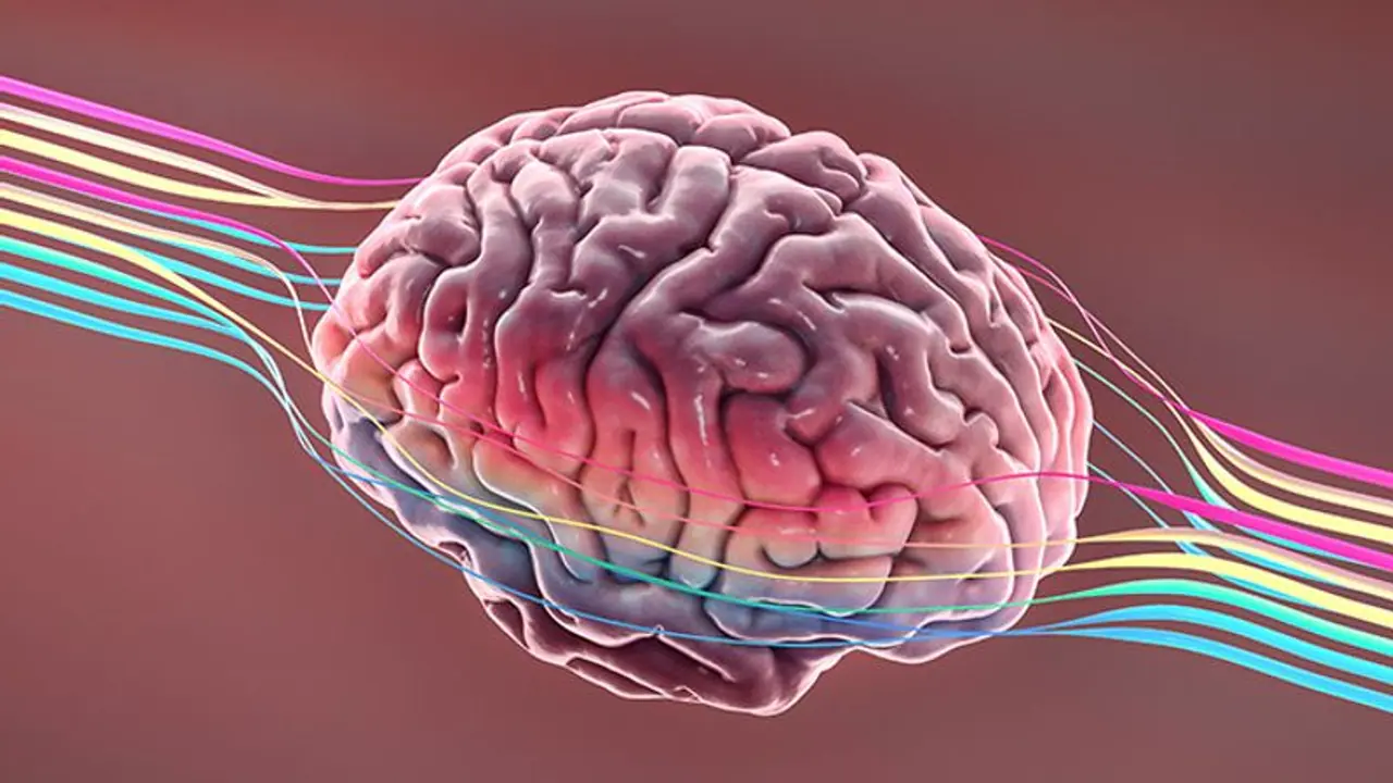 Health Tips: തലച്ചോറിന്‍റെ ആരോഗ്യത്തിനായി പിന്തുടരാം ഈ ശീലങ്ങള്‍