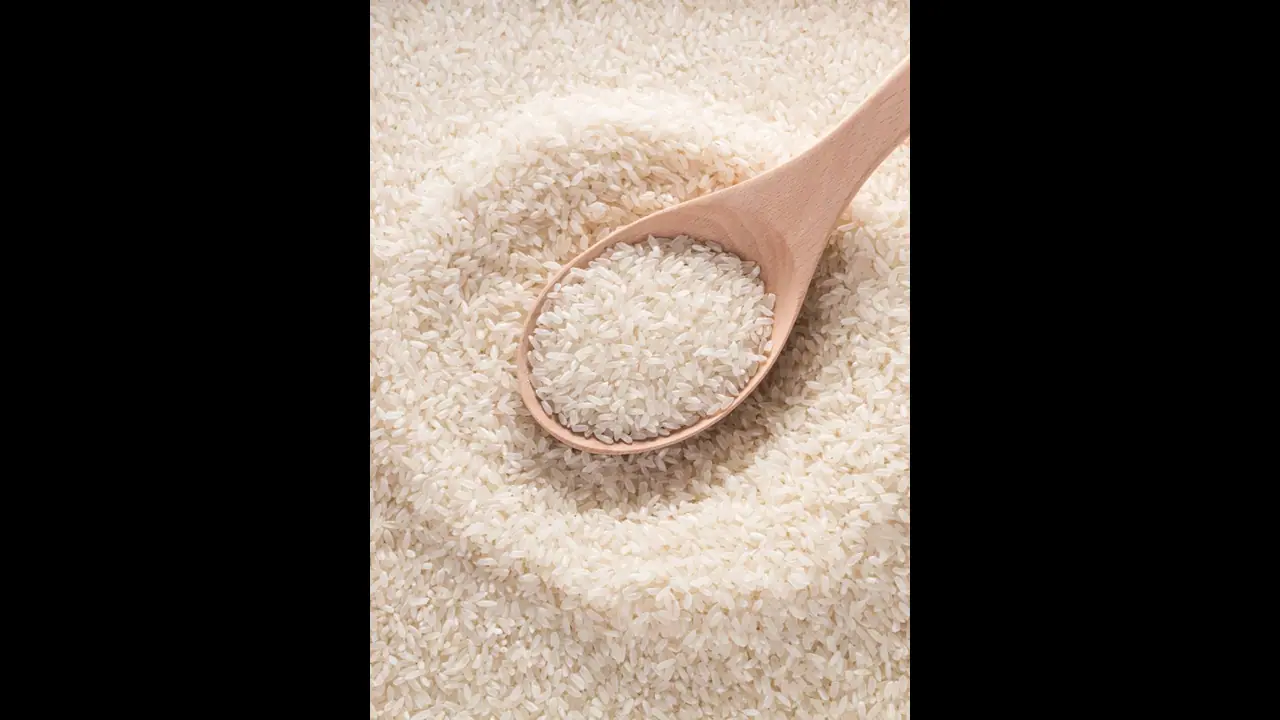 తెలంగాణ వద్ద బియ్యం లేవంటా..: సీఎం సిద్ధరామయ్య.. కర్ణాటకకు మరో ఎదురుదెబ్బ తెలంగాణ వద్ద బియ్యం లేవంటా..: సీఎం సిద్ధరామయ్య.. కర్ణాటకకు మరో ఎదురుదెబ్బ