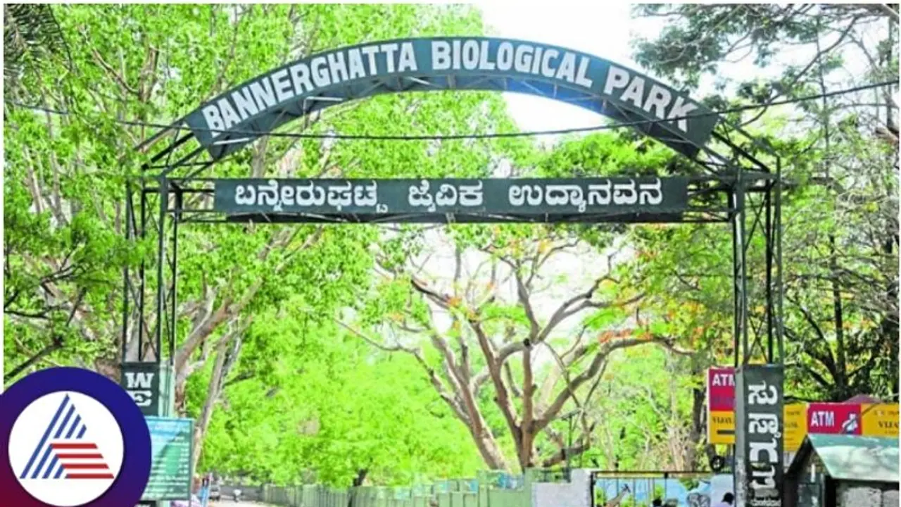 Bengaluru's elevated corridor through Bannerghatta National Park gets Wildlife Board's approval Bengaluru's elevated corridor through Bannerghatta National Park gets Wildlife Board's approval