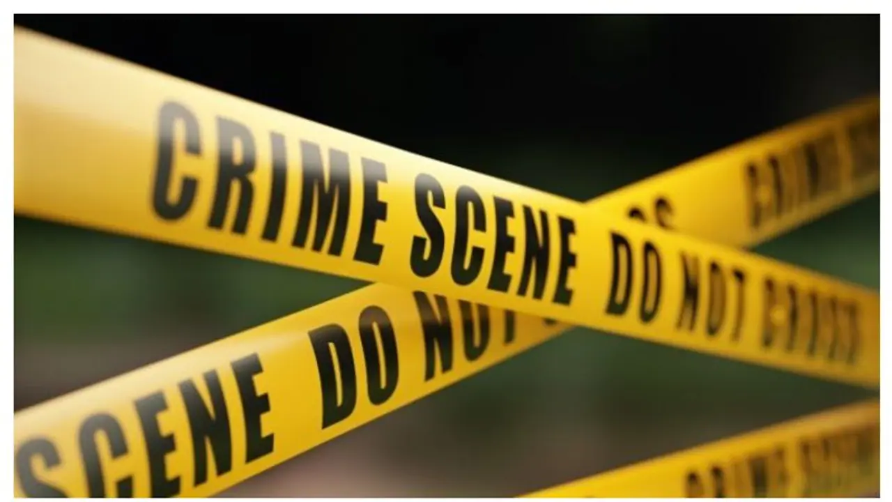 'നിരന്തരം ശല്യം, ഫോട്ടോ ഉപയോഗിച്ച് ഭീഷണി, മകൾ നാട്ടിലേക്ക് തിരിച്ചത് സനലിനെ ഭയന്ന്': കുത്തേറ്റ സീതയുടെ കുടുംബം