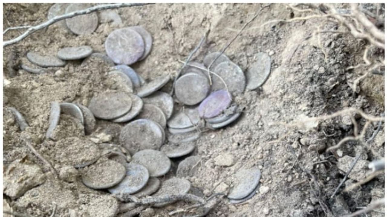 ಬಾಗಲಕೋಟೆ: ಕೃಷ್ಣಾನದಿಯಲ್ಲಿ ಇದೀಗ ಲಕ್ಷ್ಮೀ ಕಟಾಕ್ಷ..! ಬಾಗಲಕೋಟೆ: ಕೃಷ್ಣಾನದಿಯಲ್ಲಿ ಇದೀಗ ಲಕ್ಷ್ಮೀ ಕಟಾಕ್ಷ..!