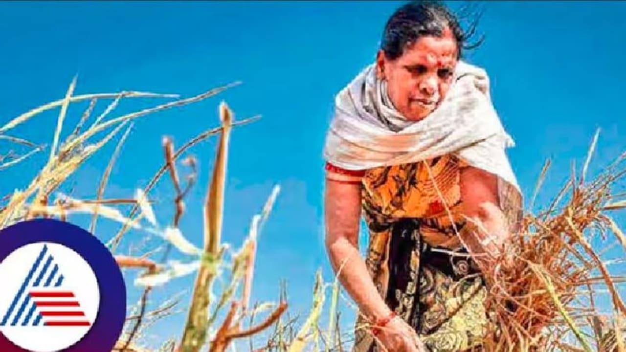 Karnataka election 2023: ದಿನಕ್ಕೊಂದು ಪಕ್ಷಗಳ ಪರ ಕೂಲಿ ಕಾರ್ಮಿಕರ ಪ್ರಚಾರ! Karnataka election 2023: ದಿನಕ್ಕೊಂದು ಪಕ್ಷಗಳ ಪರ ಕೂಲಿ ಕಾರ್ಮಿಕರ ಪ್ರಚಾರ!