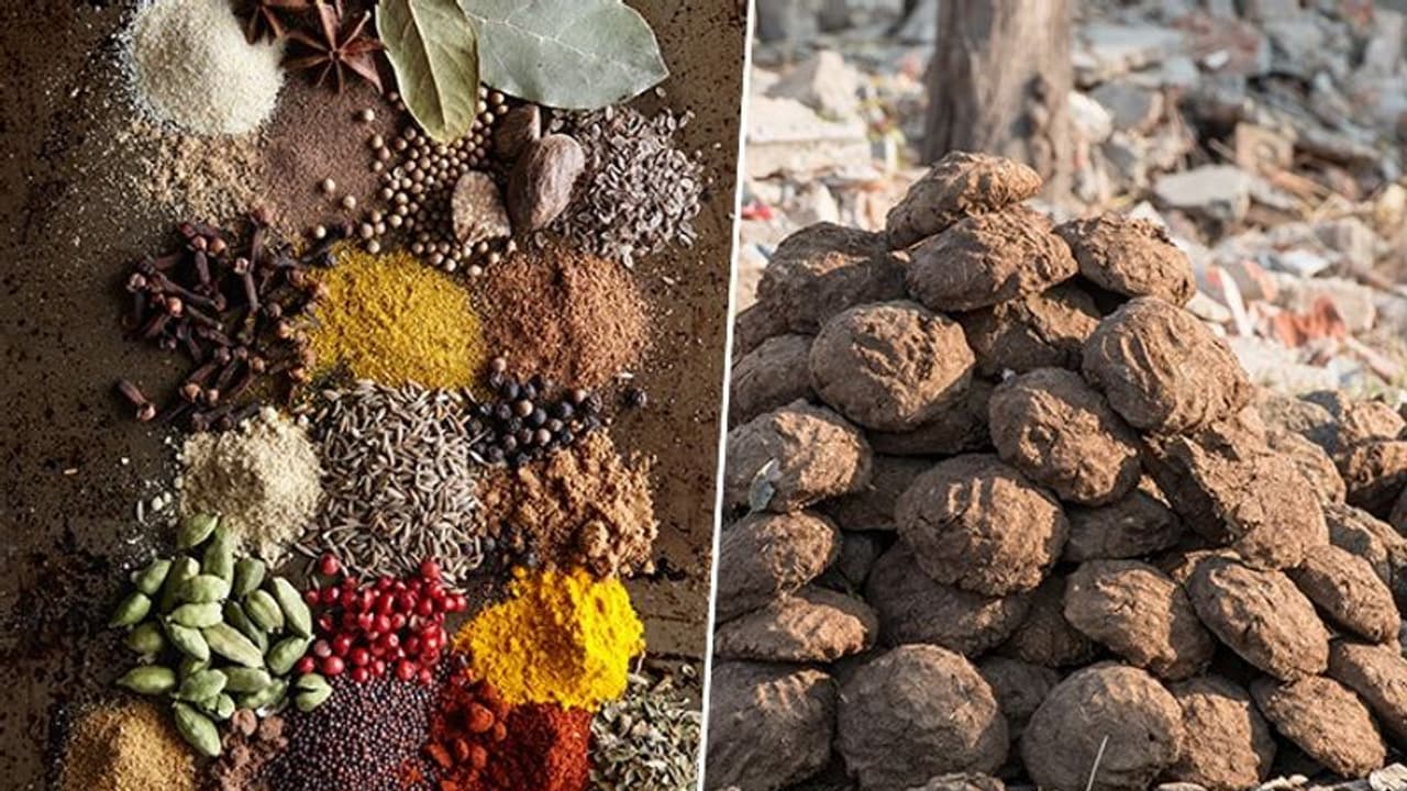 Take down YouTube videos claiming Indian spices contain cow dung, urine: Delhi HC to Google Take down YouTube videos claiming Indian spices contain cow dung, urine: Delhi HC to Google