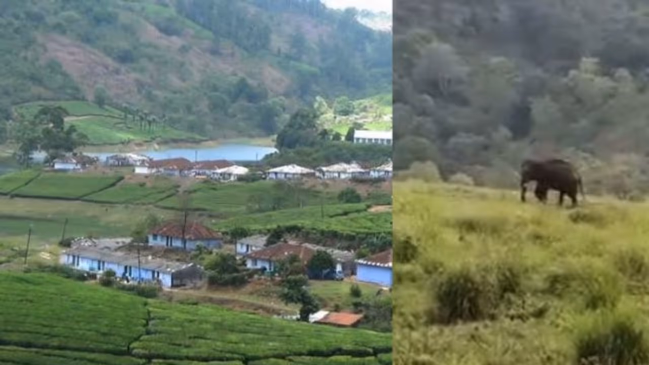 തമിഴ്‌നാട്ടിൽ വീട് ഭാഗികമായി തകർത്ത് ആന; അരിക്കൊമ്പനെന്ന് സംശയം; അരി തിന്നെന്ന് തൊഴിലാളികൾ