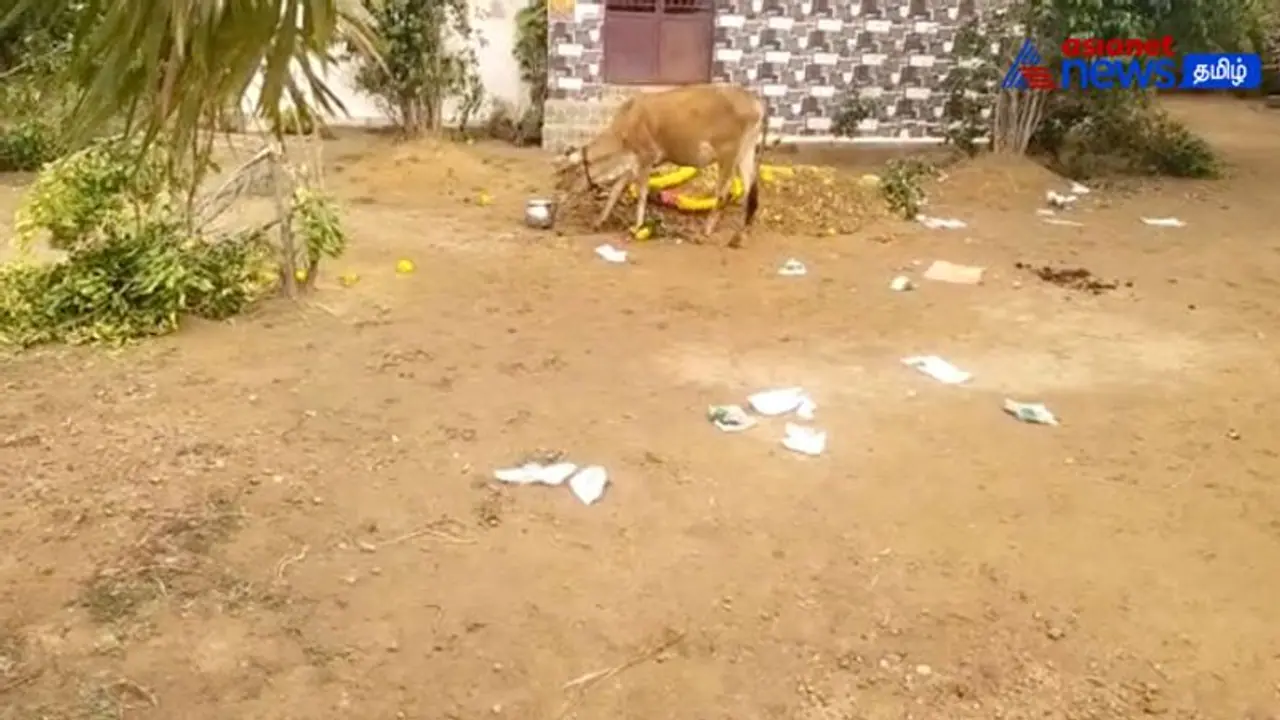 Watch : தற்கொலை செய்த கர்ப்பிணியின் உடலை வீட்டு வாசலில் புதைத்த 50 பேர் மீது வழக்கு பதிவு!