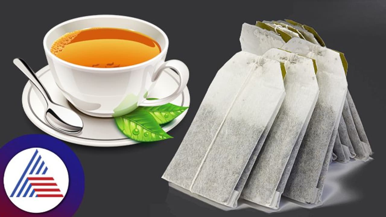 Business Ideas : ಬಹುಬೇಡಿಕೆಯಿರುವ ಈ ಬ್ಯುಸಿನೆಸ್ ಶುರು ಮಾಡಿ, ಲಾಭ ಗಳಿಸಿ Business Ideas : ಬಹುಬೇಡಿಕೆಯಿರುವ ಈ ಬ್ಯುಸಿನೆಸ್ ಶುರು ಮಾಡಿ, ಲಾಭ ಗಳಿಸಿ