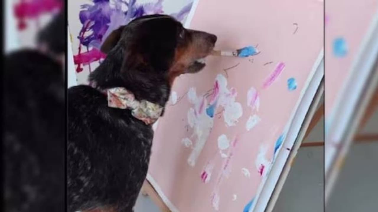 ഉടമയെ വരക്കാൻ ശ്രമിക്കുന്ന നായ? വൈറലായി വീഡിയോ 