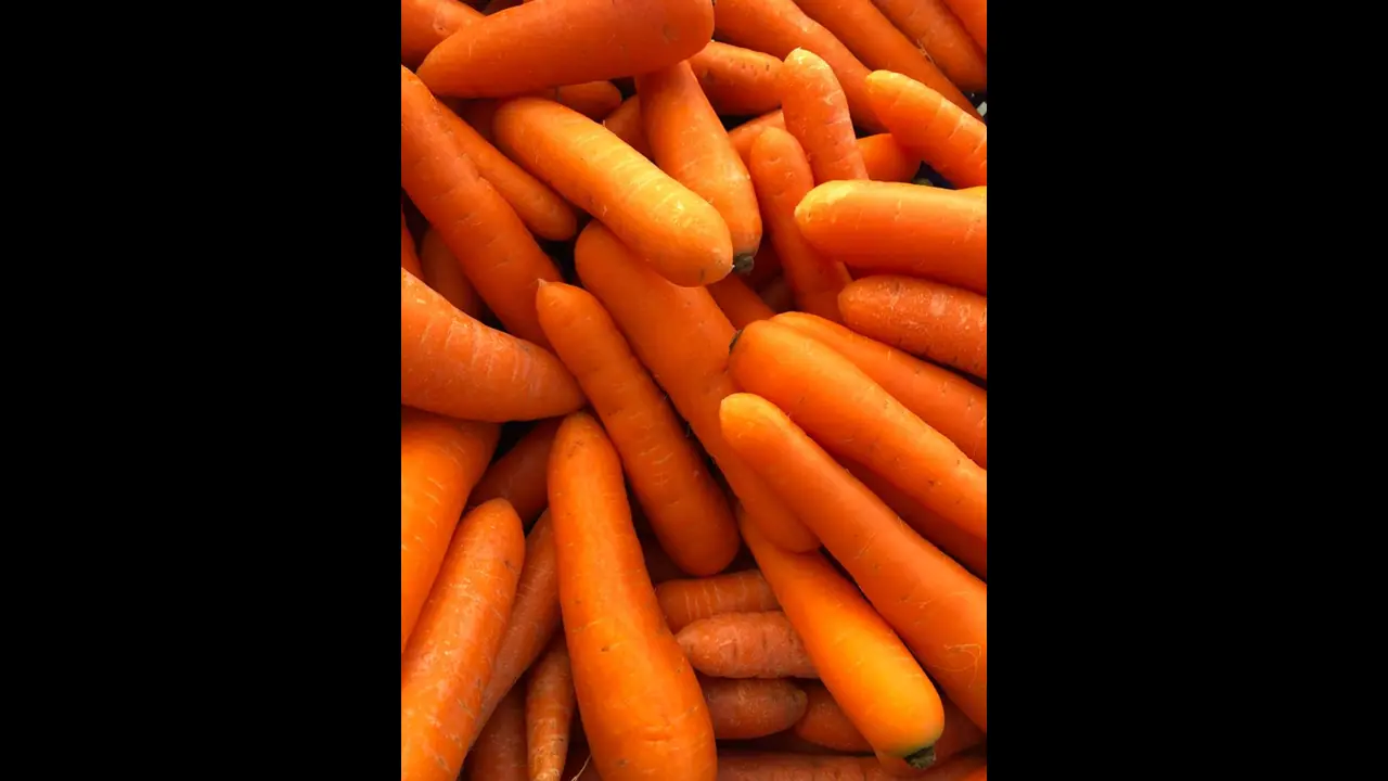 ദിവസവും കാരറ്റ് കഴിക്കുന്നത് ശീലമാക്കൂ, ​ഗുണങ്ങളറിയാം 