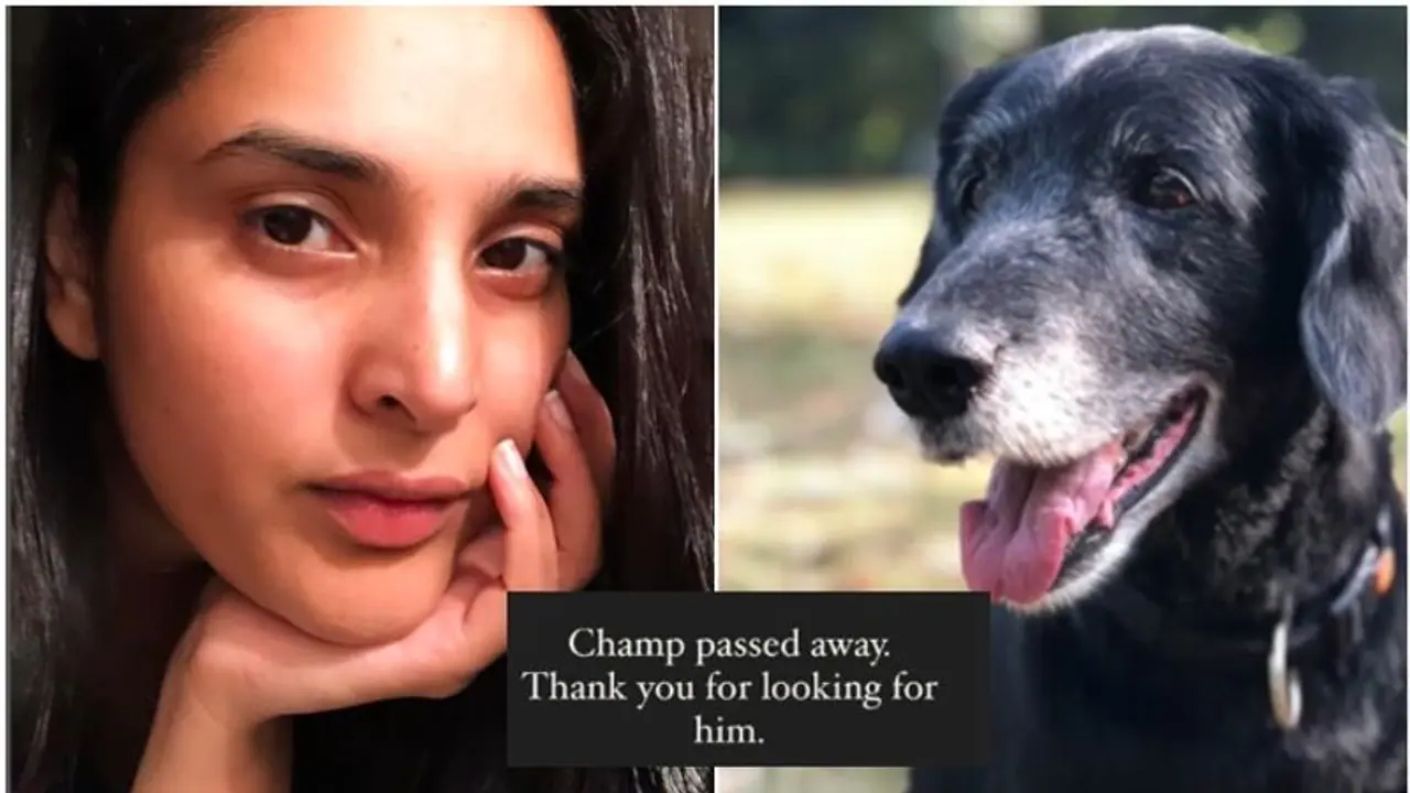 ಕಾಣೆಯಾಗಿದ್ದ ನಟಿ ರಮ್ಯಾ ಮುದ್ದಿನ ನಾಯಿ 'ಚಾಂಪ್' ನಿಧನ ಕಾಣೆಯಾಗಿದ್ದ ನಟಿ ರಮ್ಯಾ ಮುದ್ದಿನ ನಾಯಿ 'ಚಾಂಪ್' ನಿಧನ