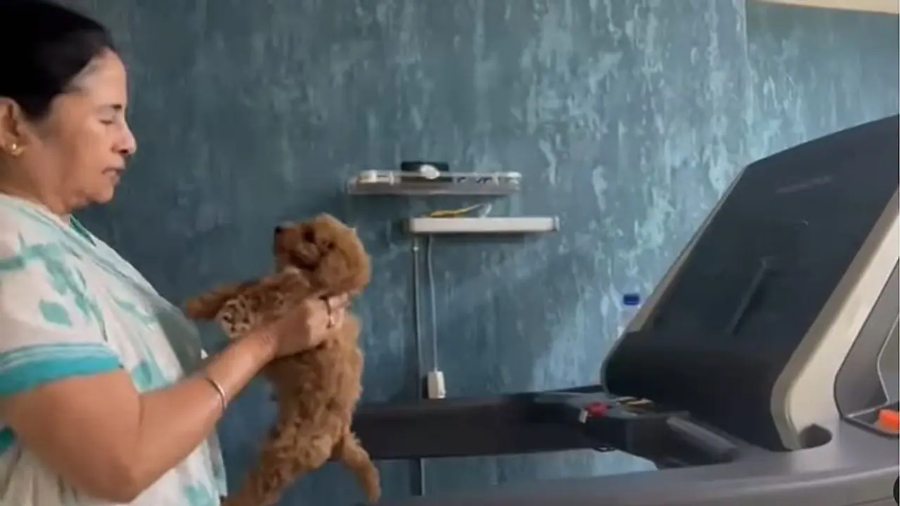 ಟ್ರೆಡ್‌ಮಿಲ್‌ನಲ್ಲಿ ನಾಯಿಮರಿಯೊಂದಿಗೆ ದೀದೀ ವರ್ಕೌಟ್‌: ವೀಡಿಯೋ ವೈರಲ್‌