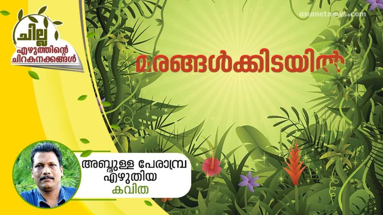 മരങ്ങള്ക്കിടയില്, അബ്ദുള്ള പേരാമ്പ്ര എഴുതിയ കവിത മരങ്ങള്ക്കിടയില്, അബ്ദുള്ള പേരാമ്പ്ര എഴുതിയ കവിത